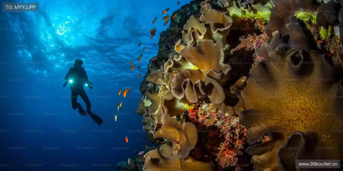 🎯周边好物,球迷必备!🎲